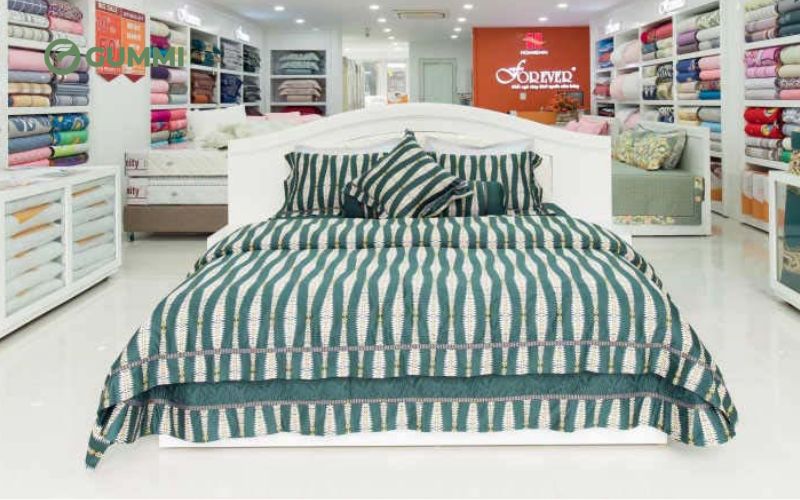 Showroom Công ty TNHH Nệm Vạn Thành
