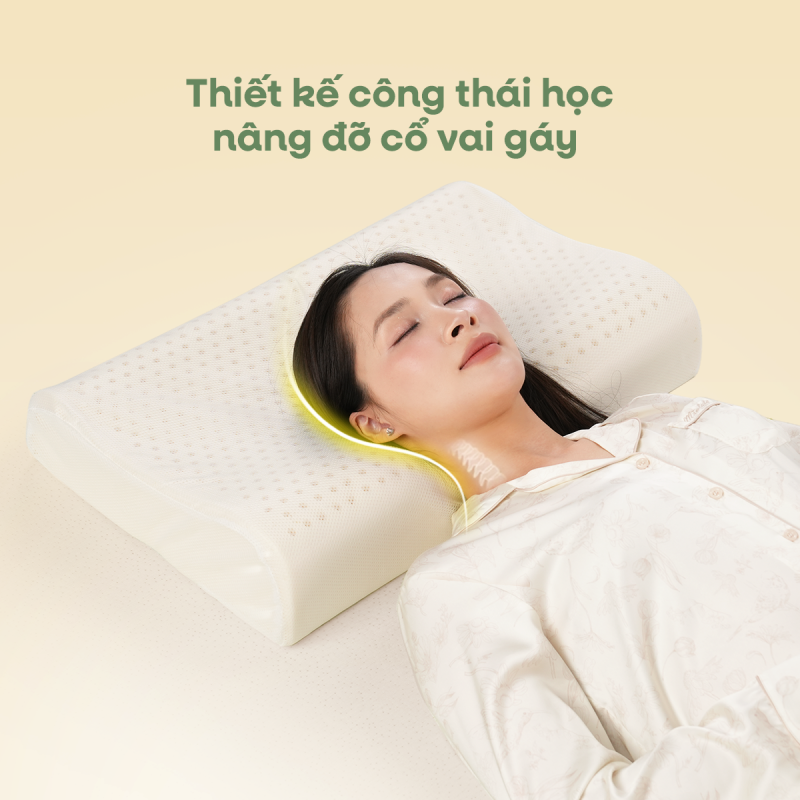 Thiết kế công thái học nâng đỡ cổ vai gáy