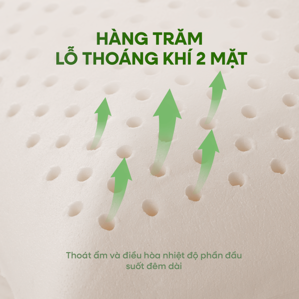 Gối cao su Gummi Ovalux – Nâng đỡ đúng điểm, ngủ sâu trọn vẹn