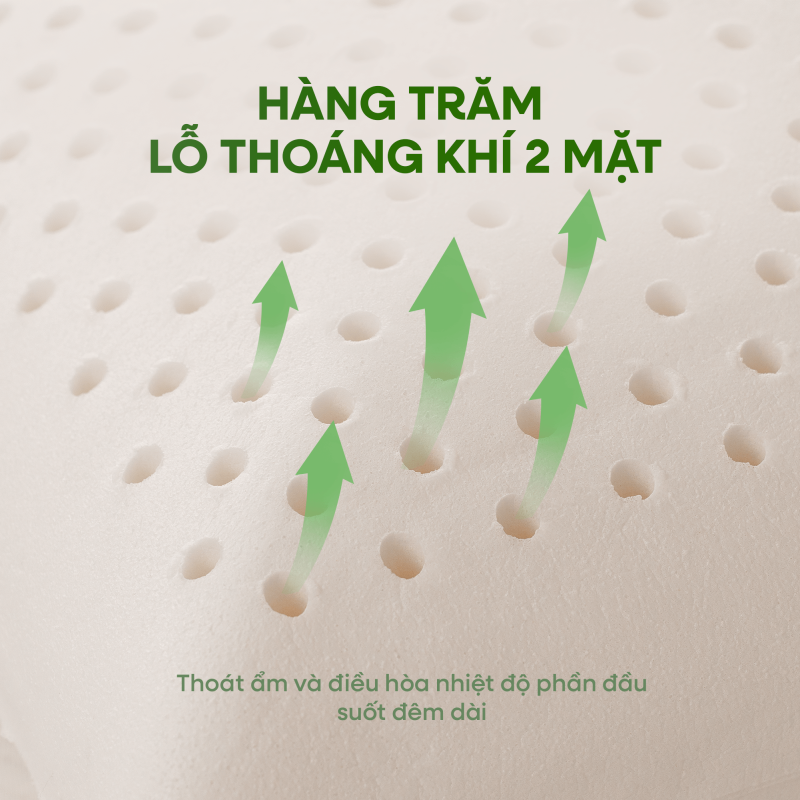 Gối cao su Gummi Ovalux – Nâng đỡ đúng điểm, ngủ sâu trọn vẹn