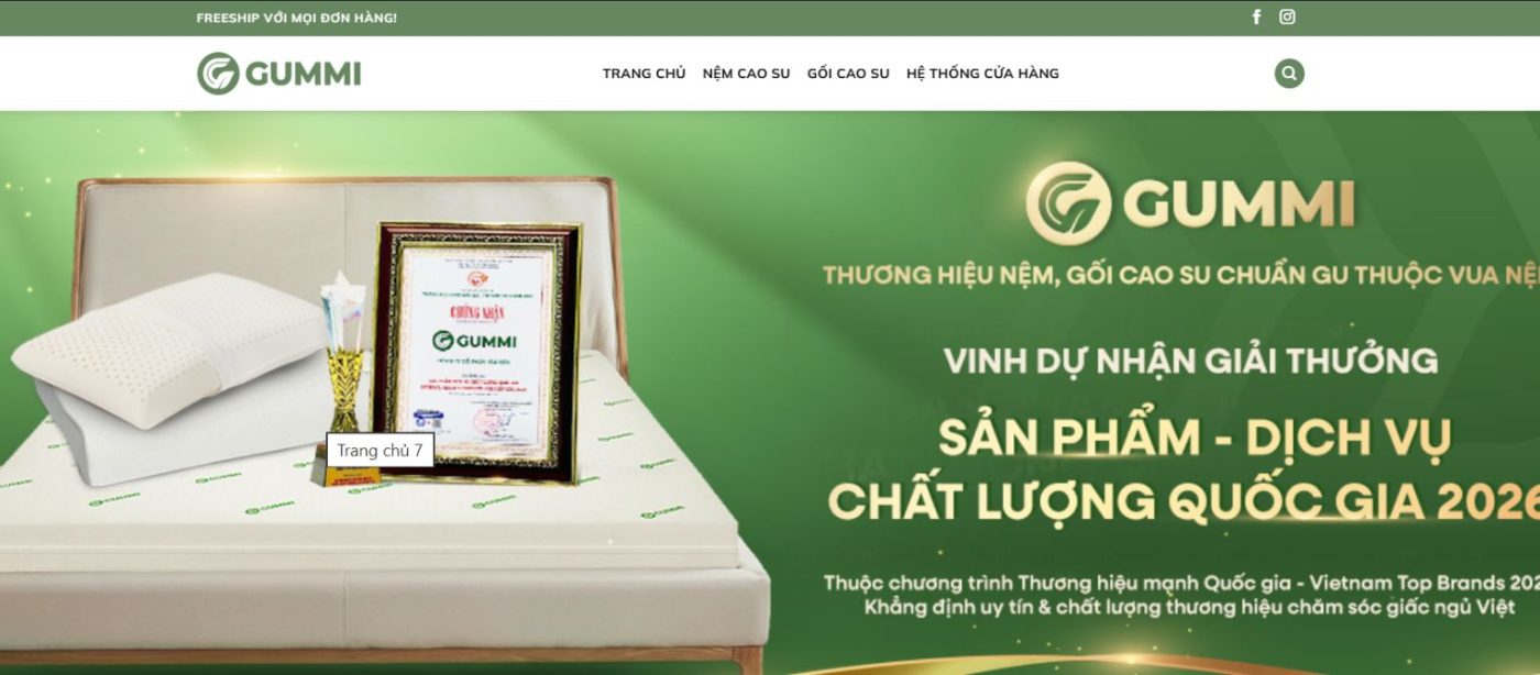 Truy câpj vào website Gummi