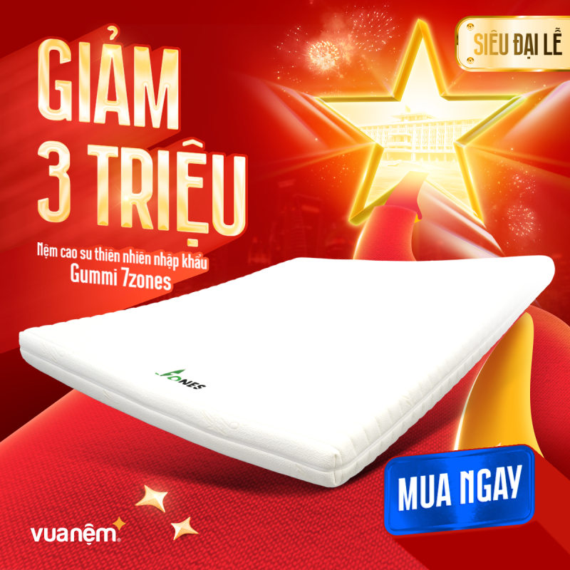 Nệm cao su thiên nhiên Gummi 7Zones