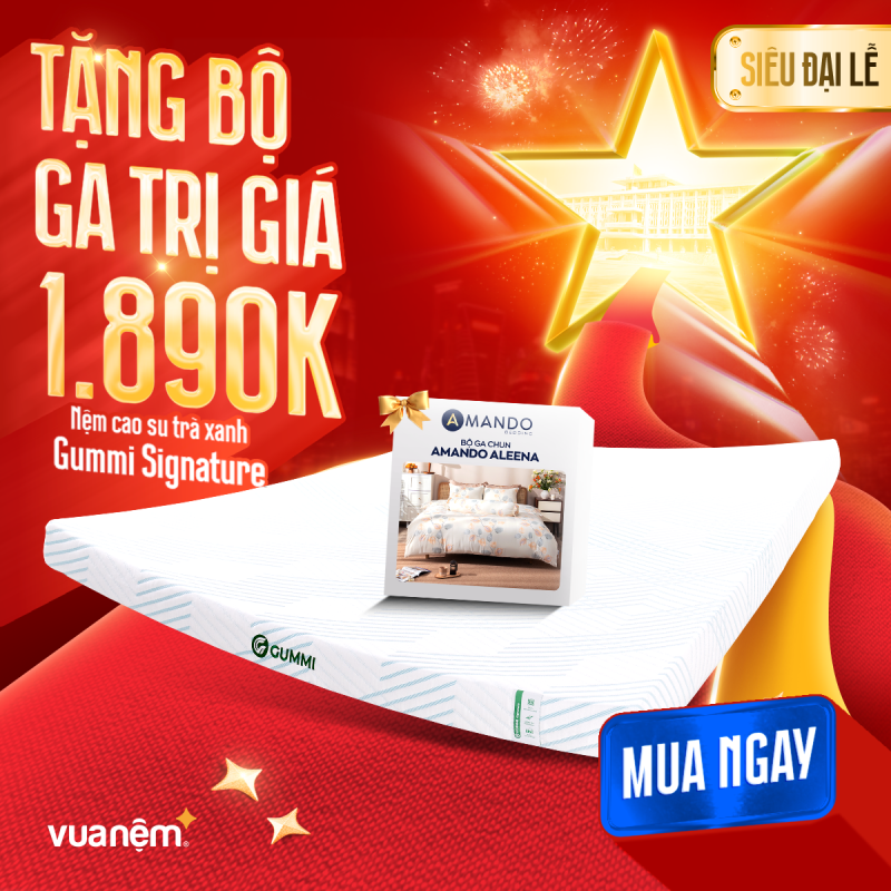 Nệm cao su Signature