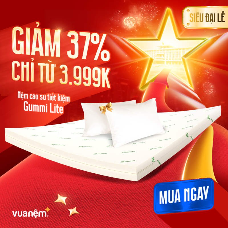 Nệm cao su Gummi Lite