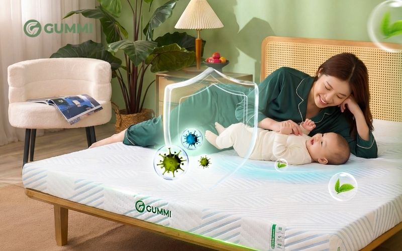 Nên mua nệm 5cm hay 10cm?