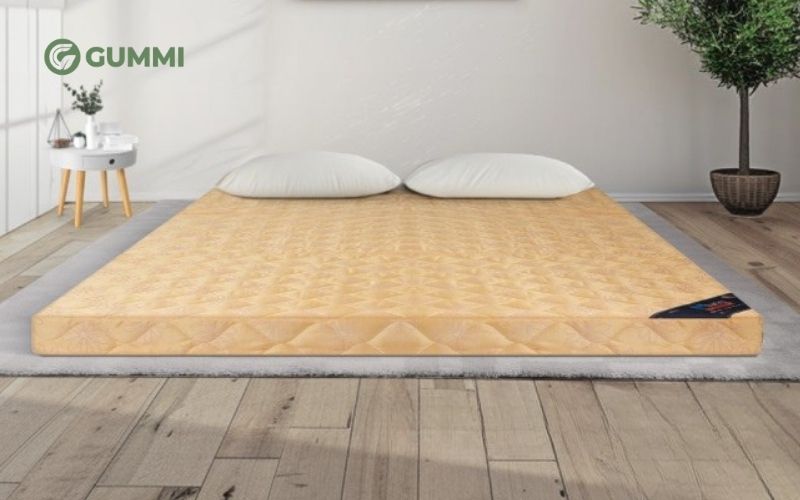 Nệm trải sàn kiểu Nhật có tốt không? Top 5 mẫu nệm nên mua 1 Đặc điểm của nệm trải sàn kiểu Nhật