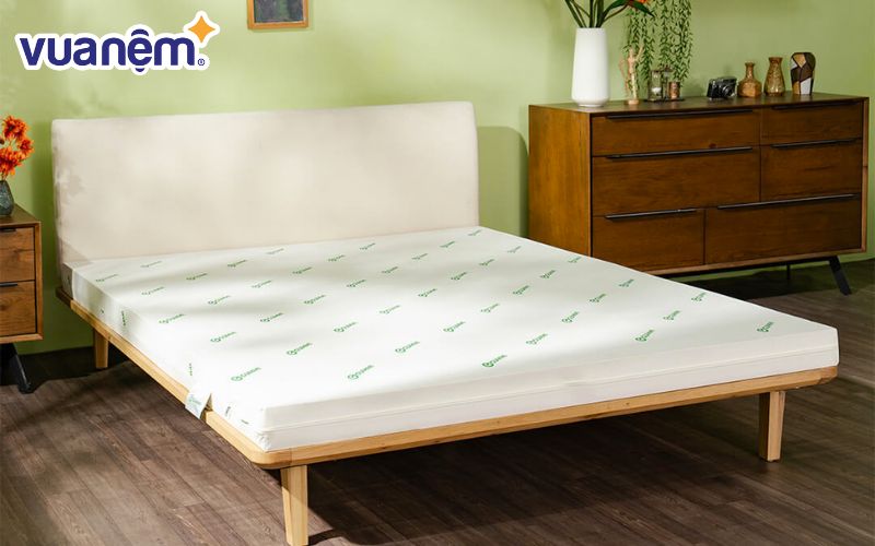 Nệm Gummi được làm từ cao su 100% thiên nhiên, đảm bảo tính đàn hồi, êm ái, nâng đỡ tốt và sử dụng lâu dài