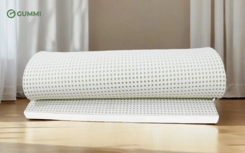 Top 10 địa chỉ mua nệm cao su Rạch Giá chất lượng, giá tốt 2026 10 Nệm cao su non Gia Hòa