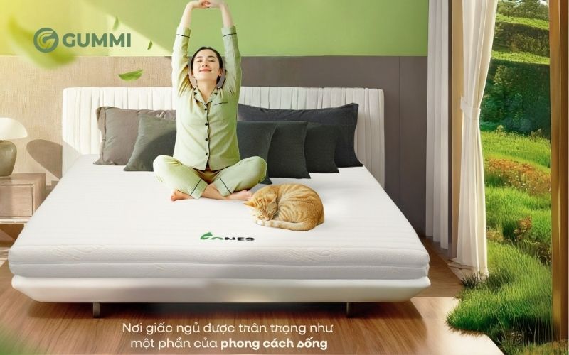 Gummi phù hợp với những ai muốn đầu tư vào chất lượng giấc ngủ một cách lâu dài và ổn định