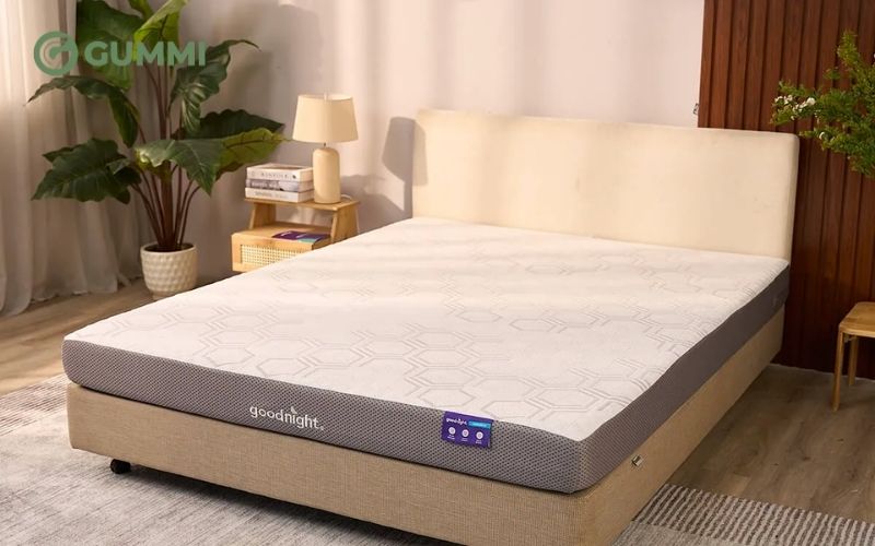Nệm foam Goodnight Massage 2.0