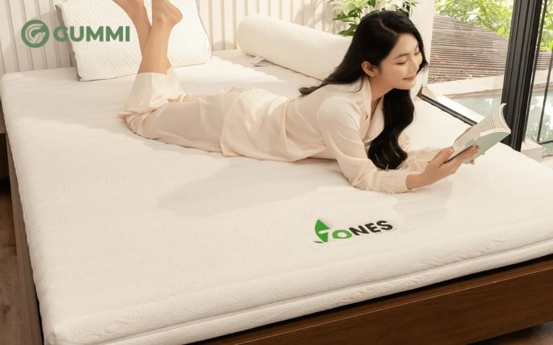 Nệm cao su Gummi được làm từ cao su 100% thiên nhiên, có độ đàn hồi và độ bền vượt trội