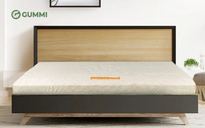 Cập nhật bảng giá nệm 3cm và Top 6 sản phẩm nệm 3cm nổi bật 2 Nệm bông ép 3cm