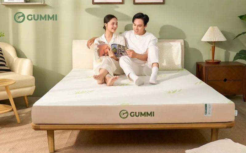 Top 12 mẫu đệm khách sạn 4 sao chất lượng được ưa chuộng 11 Nệm cao su Gummi mang đến trải nghiệm chuẩn đệm khách sạn 4 sao