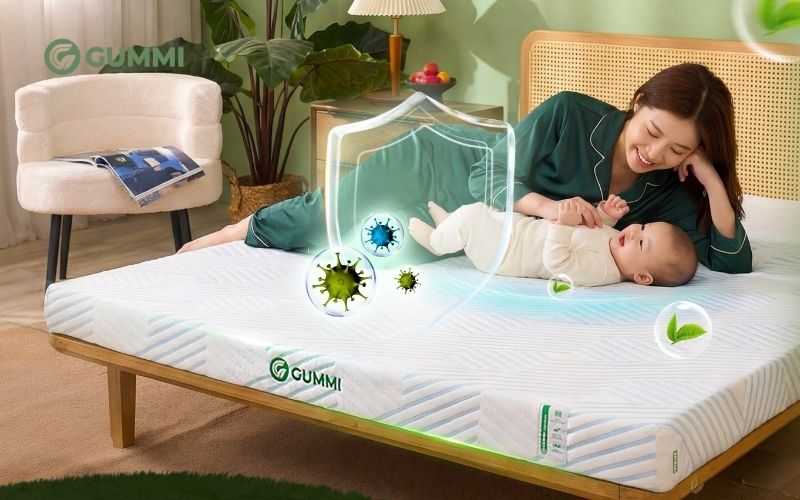 Nệm cao su kháng khuẩn tinh chất trà xanh Gummi Signature