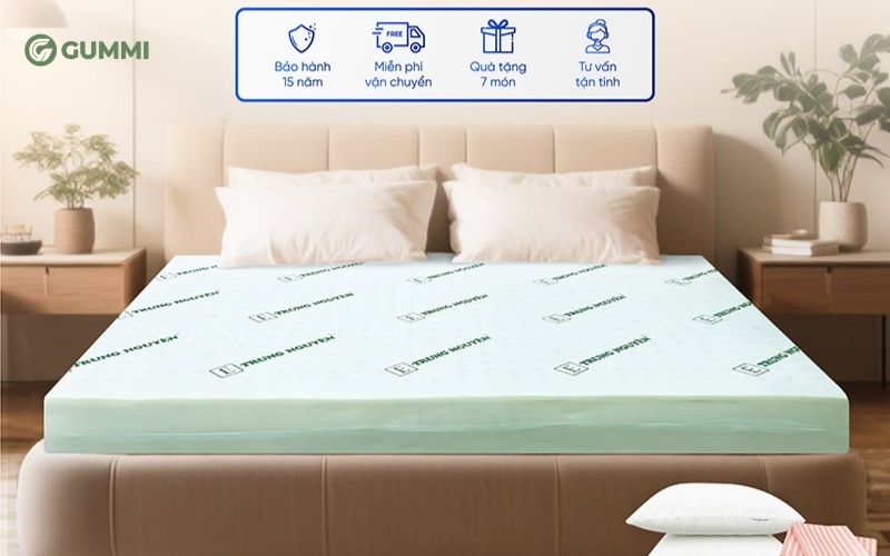 Nệm cao su non Trung Nguyên