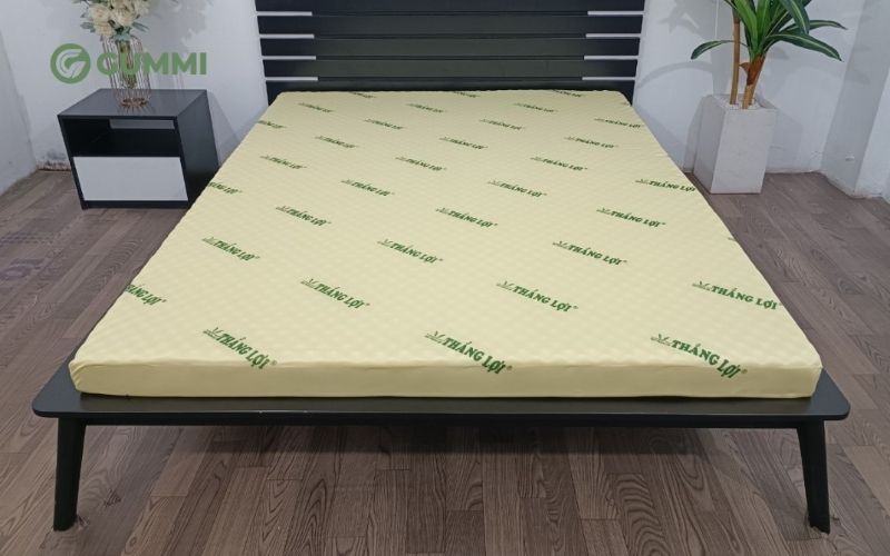 Nệm cao su thiên nhiên Thắng Lợi 2mx2m2