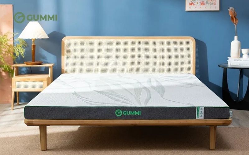 Trẻ sơ sinh nằm nệm bị nóng lưng: Nguyên nhân và 10 cách khắc phục hiệu quả 10 Gummi Premium - Dòng nệm cao cấp phù hợp với những bé dễ ra mồ hôi hoặc có làn da nhạy cảm.