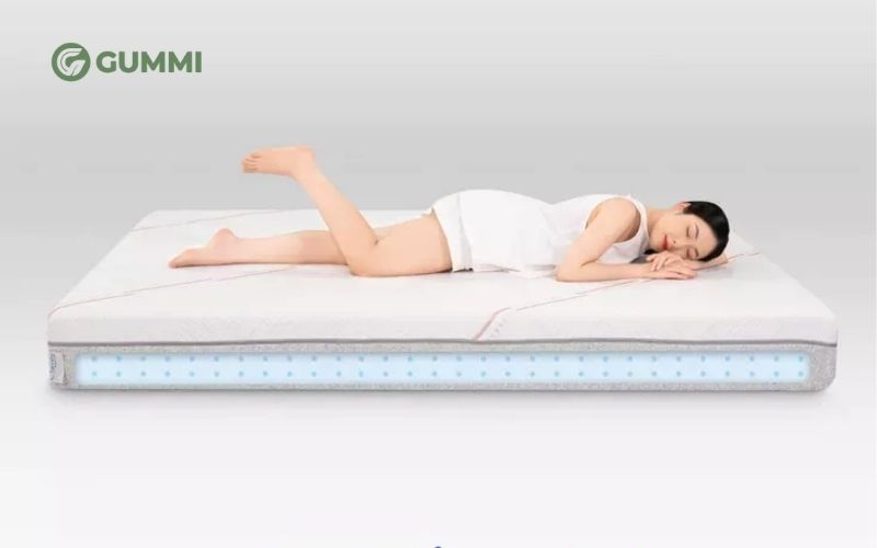 Nệm foam Comfy Lux 1.0