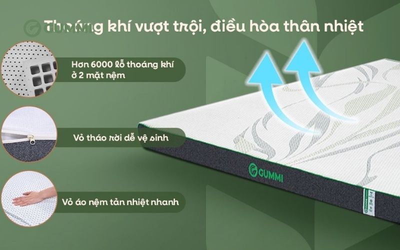 Nệm cao su Gummi Premium