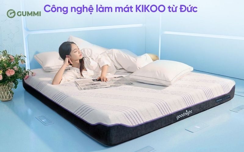 Nệm foam công nghệ Đức Goodnight Active Hybrid