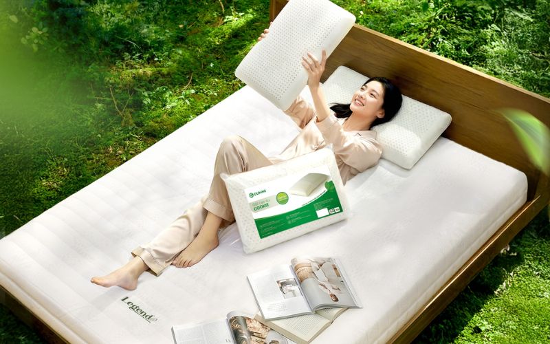 Nệm, gối cao su thiên nhiên