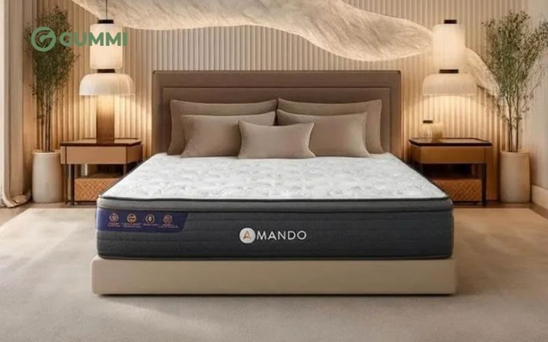 Top 12 mẫu đệm khách sạn 4 sao chất lượng được ưa chuộng 7 Nệm lò xo Amando Elite Grand