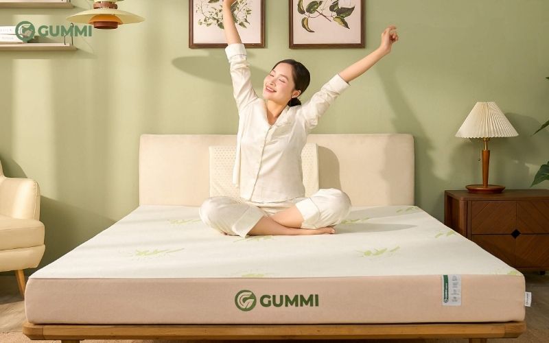 Nệm cao su đa tầng thế hệ mới Gummi Hybrid