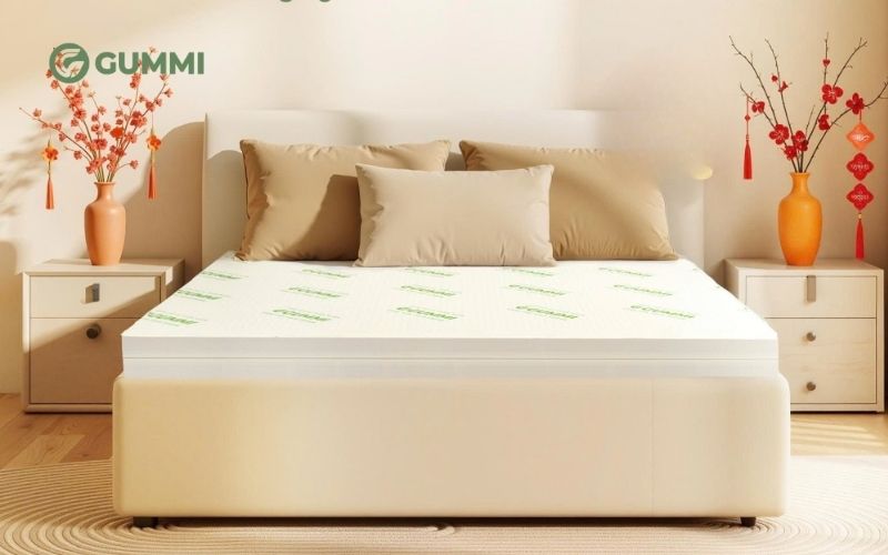 Nệm trải sàn kiểu Nhật có tốt không? Top 5 mẫu nệm nên mua 8 Nệm trải sàn Gummi Classic