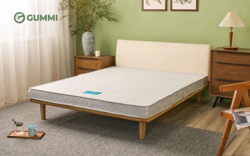 Nệm trải sàn kiểu Nhật có tốt không? Top 5 mẫu nệm nên mua 9 Nệm trải sàn kiểu Nhật Wonjun Pure Premium