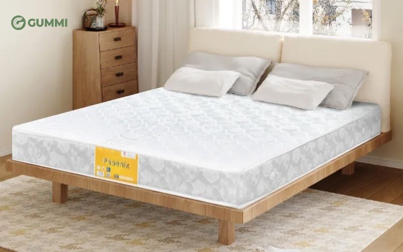 Nệm Vạn Thành Phoenix Tricat