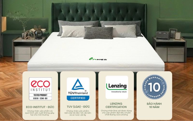 Gummi được phân phối bởi Vua Nệm