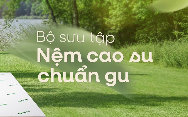 Nệm cao su thiên nhiên