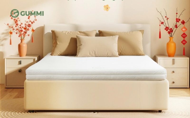 Tham khảo các sản phẩm nệm kích thước lớn tại Gummi