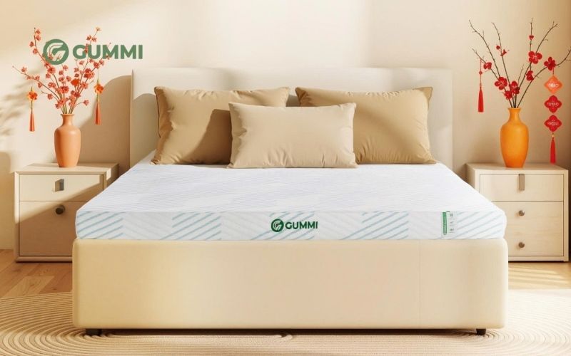 Tham khảo các sản phẩm nệm kích thước nhỏ chất lượng tại Gummi
