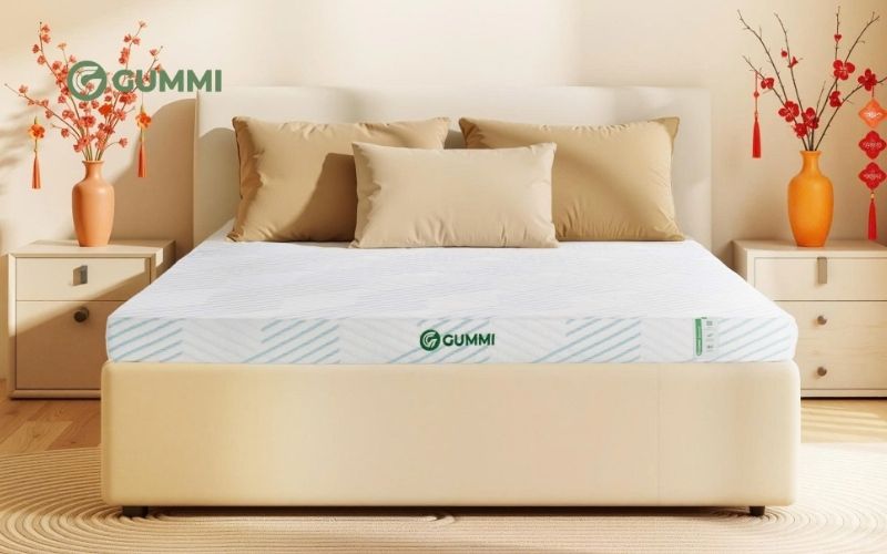 Tham khảo thêm nhiều mẫu nệm chất lượng tại Gummi