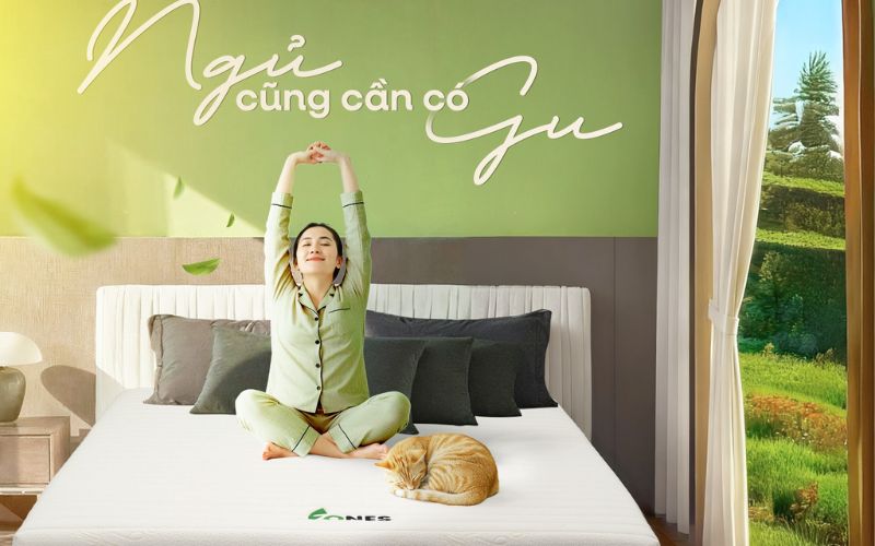 Thương hiệu nệm Gummi