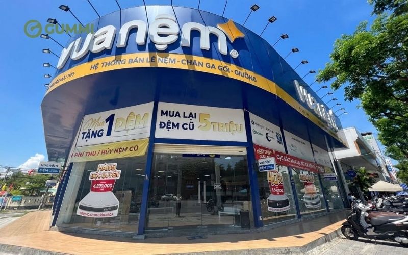 Vua Nệm - Dịch vụ giặt nệm, vệ sinh nệm tại nhà Hải Phòng