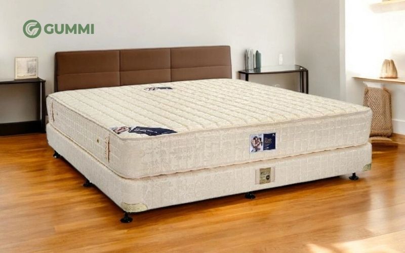 Các dòng nệm Hanvico được nhiều khách hàng quan tâm