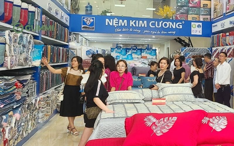 10 cửa hàng nệm Long An uy tín, giá tốt & Tiêu chí lựa chọn 7 Cửa hàng chuyên bán nệm Kim Cương