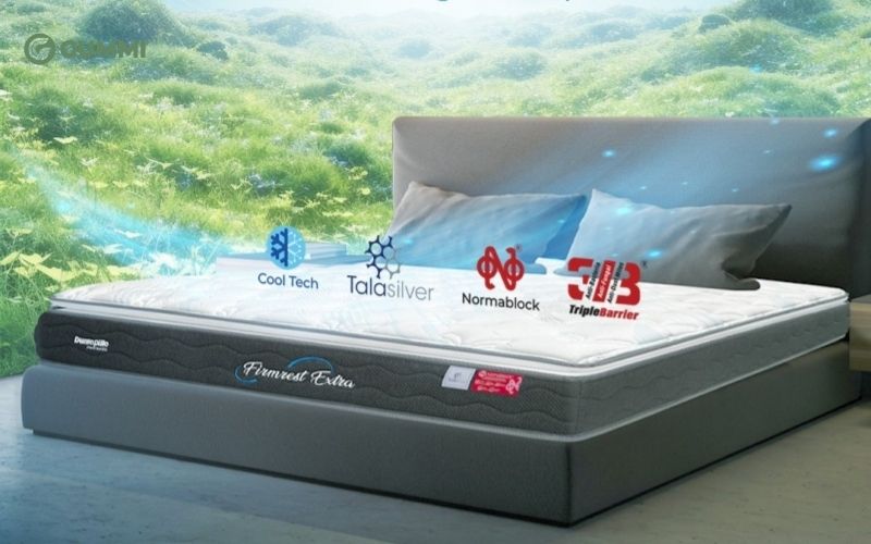 Top 10 cửa hàng nệm Đắk Lắk giá tốt, giao hàng tận nơi 7 Nệm Dunlopillo Đắk Lắk