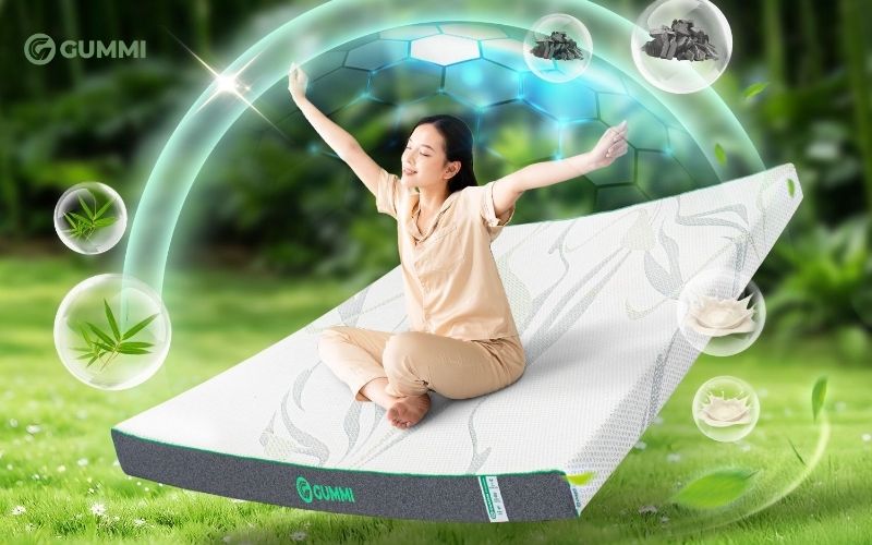 Top 10 cửa hàng nệm Đắk Lắk giá tốt, giao hàng tận nơi 2 Nệm cao su thiên nhiên Gummi