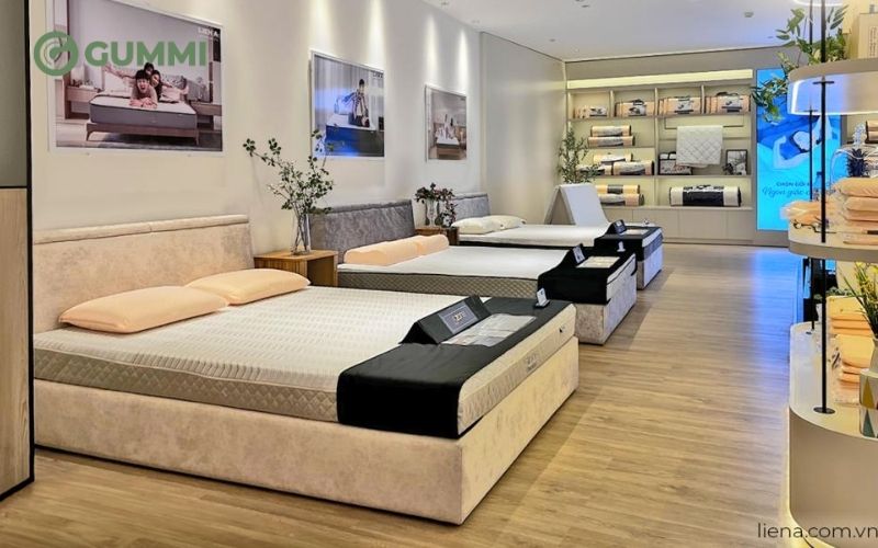 Gợi ý 10 cửa hàng nệm Đồng Nai được nhiều người lựa chọn 3 Thương hiệu nệm Liên Á rất nổi tiếng tại Việt Nam
