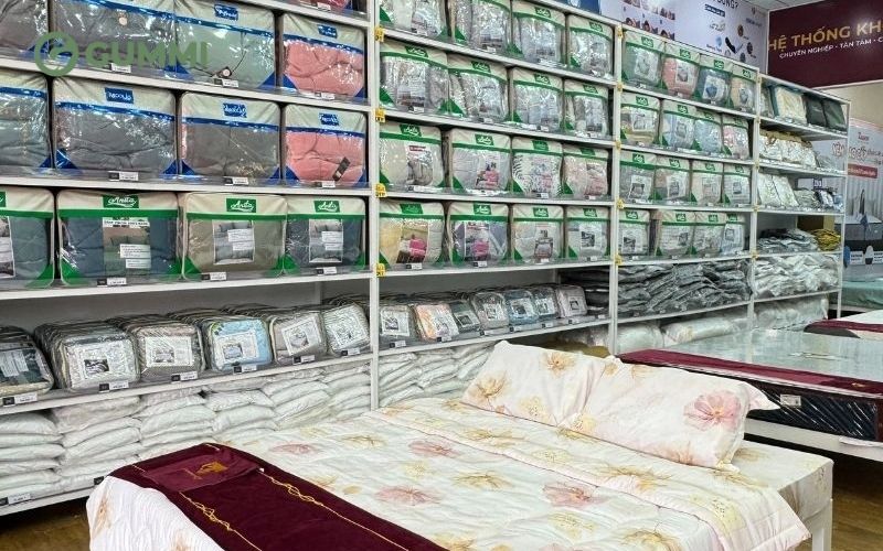 Gợi ý 10 cửa hàng nệm Đồng Nai được nhiều người lựa chọn 4 Kho nệm tổng hợp cung cấp nệm với đa dạng mẫu mã và mức giá khác nhau