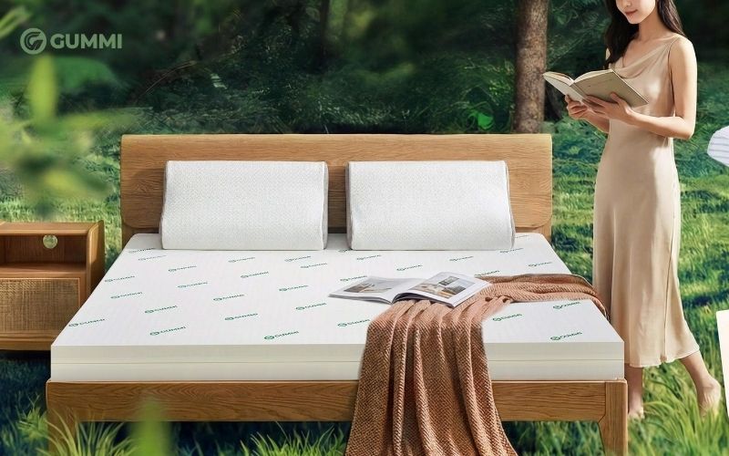 10+ cửa hàng nệm Đồng Tháp giá tốt đáng tham khảo 2 Nệm cao su chuẩn gu Gummi