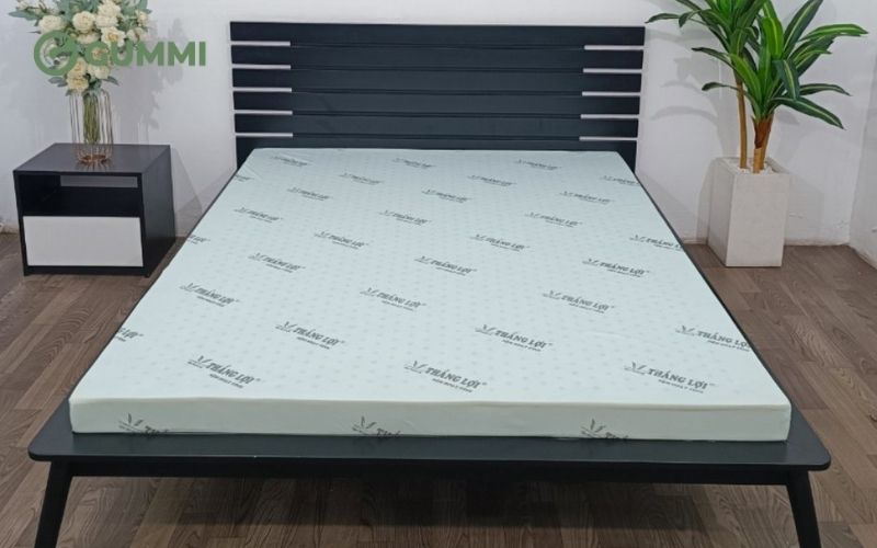 Nệm cao su non Thắng Lợi rất được ưa chuộng trên thị trường