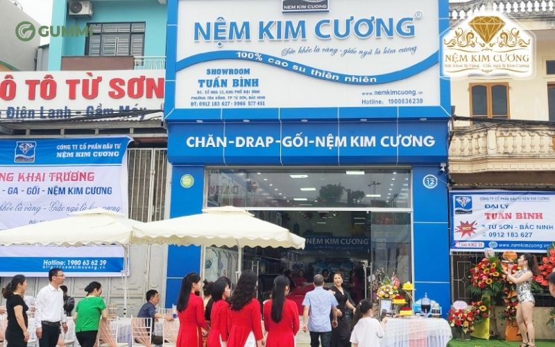 10+ cửa hàng nệm Đồng Tháp giá tốt đáng tham khảo 4 Nệm Kim Cương quen thuộc với người Việt