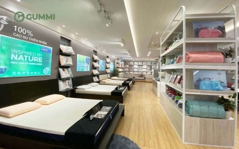 Liên Á là một trong những thương hiệu nệm cao cấp được người tiêu dùng tại Việt Nam tin tưởng lựa chọn