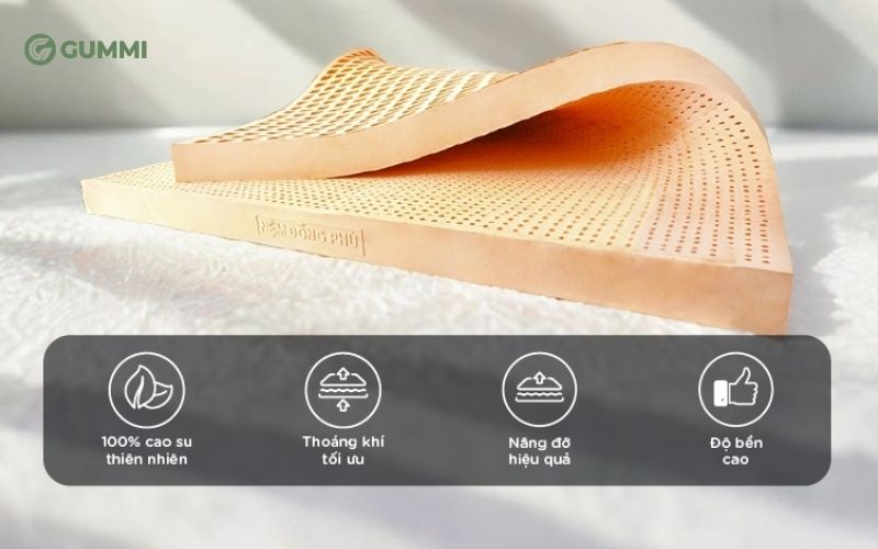 Gợi ý 10 cửa hàng nệm Quận 10 giá tốt, bảo hành lâu dài 12 Nệm Đồng Phú giá tốt
