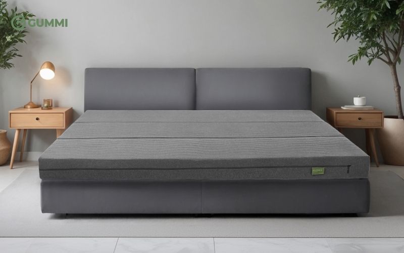 Gợi ý 10 cửa hàng nệm Quận 10 giá tốt, bảo hành lâu dài 9 Nệm Everon mềm mại