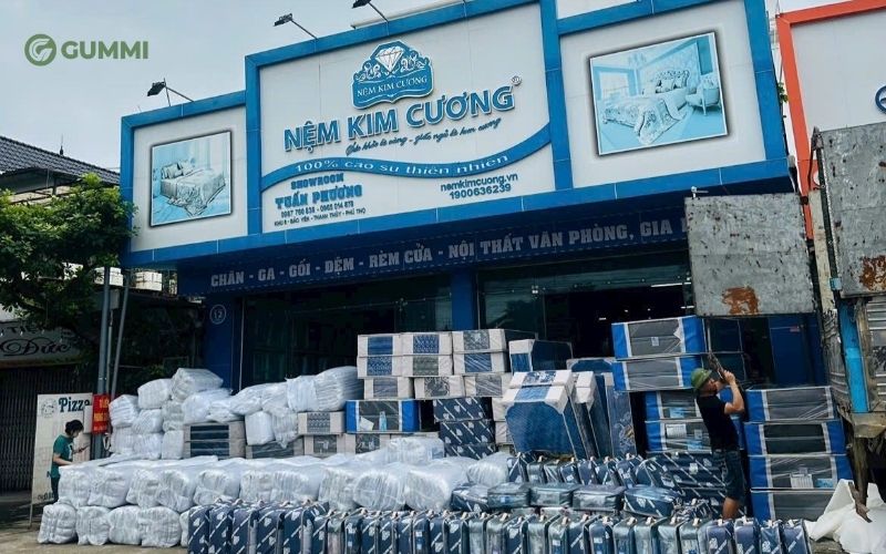 10+ Cửa hàng nệm Quận 3 uy tín, chất lượng, giá tốt 9 Đại lý nệm Kim Cương
